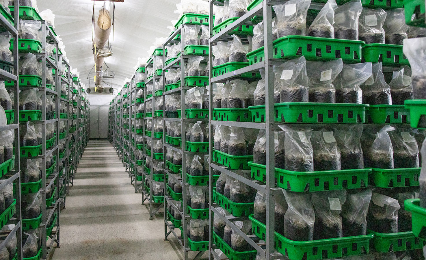 Shanghai Sanmin Herbal Industrial Co