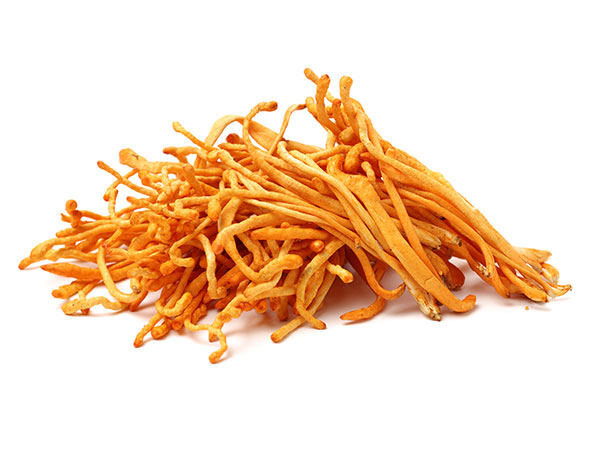 Codyceps Militaris Extract