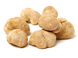 Hericium Erinaceus Extract