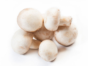 Agaricus Bisporus Extract